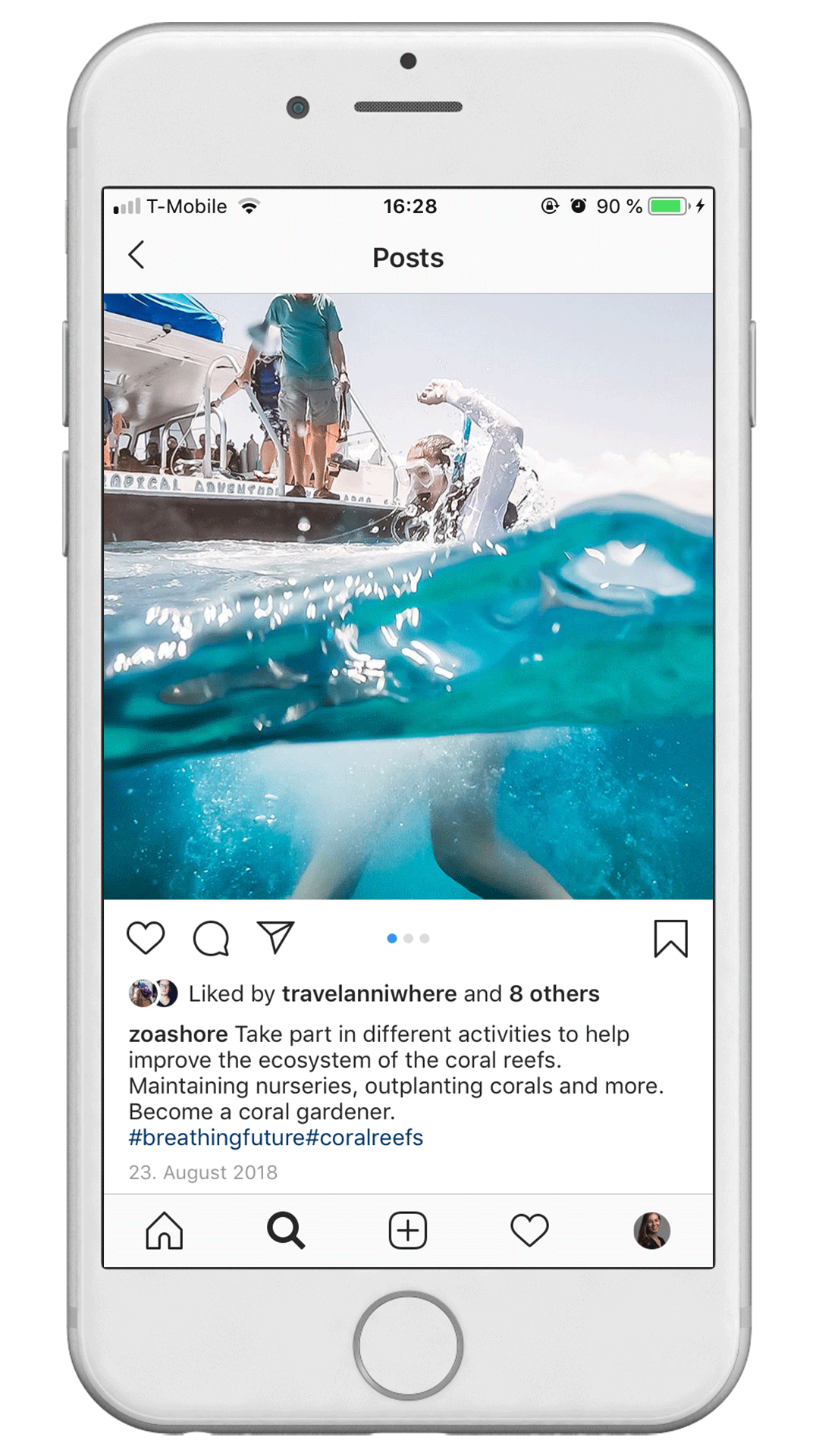 zoashore_insta_02 social media marketing eco-friendly brand design zoashore